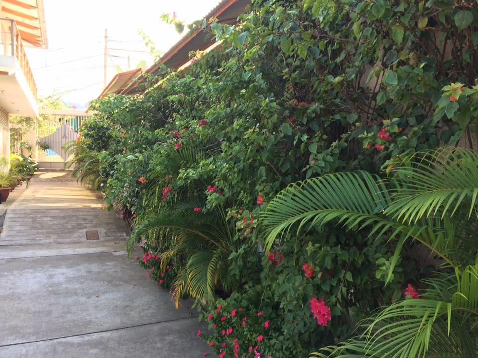 La Casa Del Italiano Tarapoto Exterior foto
